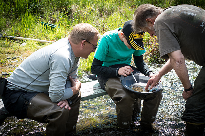 Finding gold at the homestead