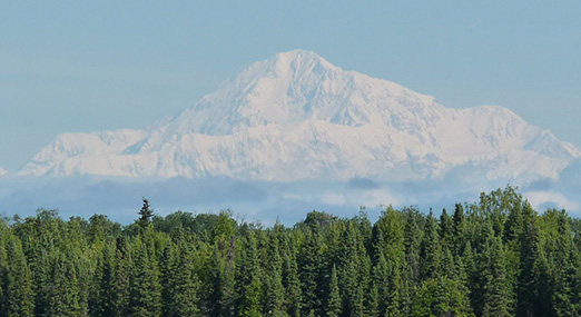 Majestic views of Denali when riding along the ATV trail